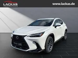Titaniumweiß Neu 2025 Lexus NX350h Business Edition SUV | 54.990 € (Fairer Preis)