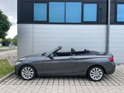 Grau Gebraucht 2015 BMW 220 Cabrio | 18.999 € (Fairer Preis)
