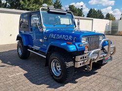 Gebraucht 1992 Jeep Wrangler Sport SUV | 13.490 €