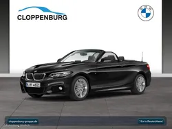 Schwarz Gebraucht 2018 BMW 220 M Sport Cabrio | 24.890 € (Etwas zu teuer)