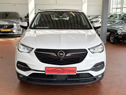 Weiß Gebraucht 2020 Opel Grandland X Business Edition SUV | 17.999 € (Teuer)