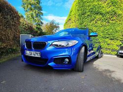 Blau Gebraucht 2014 BMW 220 Sport Line Coupé | 18.000 € (Etwas zu teuer)