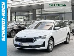 Moonweiß Gebraucht 2025 Skoda Octavia Selection Kombi | 38.999 € (Etwas zu teuer)