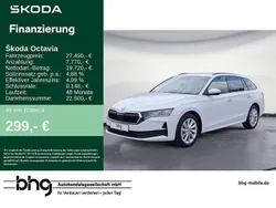 Weiß Gebraucht 2024 Skoda Octavia Selection Kombi | 27.490 € (Guter Preis)