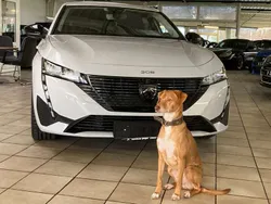 Weiss Neu 2024 Peugeot 308 Active Kombi | 29.900 € (Fairer Preis)