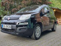 Schwarz Gebraucht 2014 Fiat Panda Kleinwagen | 5.100 € (Fairer Preis)