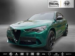 Verde montreal, speziallackierung Gebraucht 2025 Alfa Romeo Stelvio Quadrifoglio SUV | 82.990 €