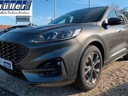 Grau Gebraucht 2024 Ford Kuga ST-Line X SUV | 26.590 € (Guter Preis)