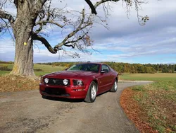 Rot Gebraucht 2007 Ford Mustang GT Coupé | 17.999 € (Guter Preis)
