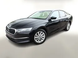 Weiss Neu 2025 Skoda Octavia Limousine | 29.888 € (Guter Preis)
