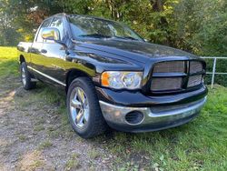 Schwarz Gebraucht 2004 Dodge Ram Abholung | 12.900 €