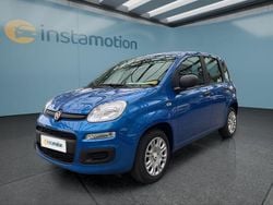 Blau Neu 2025 Fiat Panda Kleinwagen | 16.899 € (Etwas zu teuer)