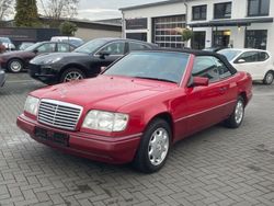 Rot Gebraucht 1993 Mercedes E220 Cabrio | 18.990 €
