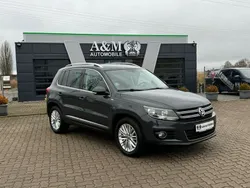 Grau Gebraucht 2014 VW Tiguan Sportline SUV | 10.990 € (Fairer Preis)