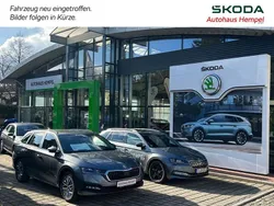 Moonweiß perleffekt (metallic) Gebraucht 2023 Skoda Karoq SportLine SUV | 32.990 € (Etwas zu teuer)