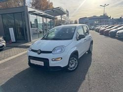 Colore esterno (weiss) Gebraucht 2024 Fiat Panda Limousine | 12.990 € (Fairer Preis)