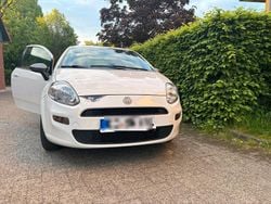 Weiß Gebraucht 2014 Fiat Punto Young Kleinwagen | 2.999 €