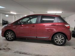 Rot Gebraucht 2019 Toyota Yaris Hybrid Kleinwagen | 13.500 € (Fairer Preis)