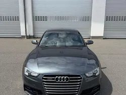 Grau Gebraucht 2015 Audi A5 Competition Coupé | 22.000 € (Etwas zu teuer)