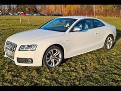 Weiß Gebraucht 2009 Audi S5 Sport Coupé | 8.699 € (Superpreis)