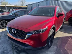 Soul red crystal Neu 2025 Mazda CX-5 Ad'Vantage SUV | 35.995 € (Guter Preis)