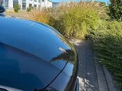 Schwarz Gebraucht 2018 Porsche Cayenne S SUV | 59.500 € (Guter Preis)