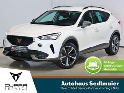 Candy weiss Gebraucht 2024 Cupra Formentor SUV | 25.450 € (Fairer Preis)