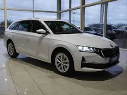 Candyweiss Neu 2024 Skoda Octavia Selection Kombi | 30.810 € (Guter Preis)