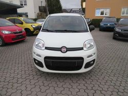 Bianco divino Gebraucht 2016 Fiat Panda Easy Kleinwagen | 9.790 € (Teuer)