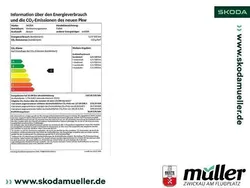Grau Neu 2025 Skoda Fabia Tour Limousine | 27.069 €