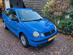 Blau Gebraucht 2003 VW Polo Kleinwagen | 700 €