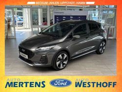 Magneticgrau (metallic) Gebraucht 2023 Ford Fiesta Active Kleinwagen | 21.850 € (Fairer Preis)