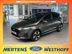 Magneticgrau (metallic) Gebraucht 2023 Ford Fiesta Active Kleinwagen | 21.850 € (Teuer)