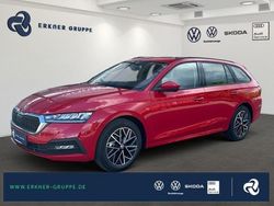 Velvetrot metallic Gebraucht 2024 Skoda Octavia Ambition Kombi | 28.999 € (Guter Preis)