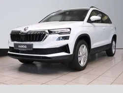 Moon weiß perleffekt Gebraucht 2024 Skoda Karoq Selection SUV | 31.890 € (Fairer Preis)