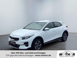 Weiß Gebraucht 2019 Kia XCeed SUV | 16.607 € (Teuer)