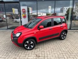 Rot Gebraucht 2024 Fiat Panda Cross Cross Kleinwagen | 15.790 € (Etwas zu teuer)