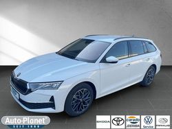 Weiß Gebraucht 2024 Skoda Octavia Selection Kombi | 34.990 € (Etwas zu teuer)