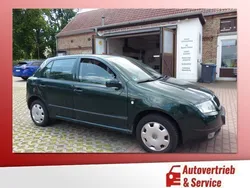 Grün Gebraucht 2000 Skoda Fabia Kleinwagen | 1.790 € (Fairer Preis)