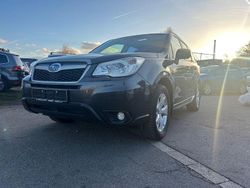 Grau Gebraucht 2014 Subaru Forester Exclusive+ SUV | 8.000 € (Fairer Preis)