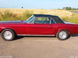 Rot Gebraucht 1967 Ford Mustang Cabrio | 41.999 €