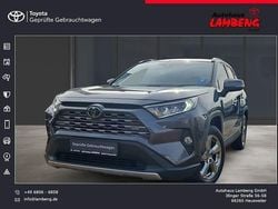 Grau Gebraucht 2019 Toyota RAV4 Club SUV | 24.490 € (Fairer Preis)