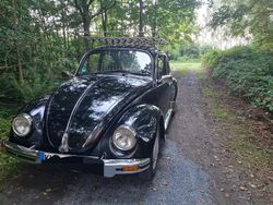 Schwarz Gebraucht 1984 VW Käfer Kleinwagen | 6.900 €