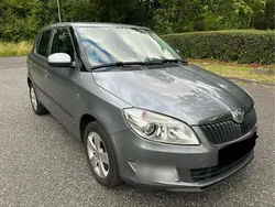 Grau Gebraucht 2013 Skoda Fabia Kleinwagen | 5.200 € (Fairer Preis)