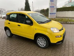 Gelb Neu 2024 Fiat Panda Kleinwagen | 15.290 € (Fairer Preis)