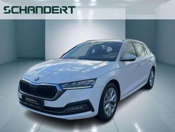 Candyweiss Gebraucht 2023 Skoda Octavia Style Kombi | 26.440 € (Fairer Preis)
