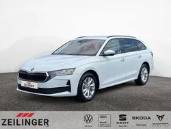 Weiß Gebraucht 2025 Skoda Octavia Selection Kombi | 29.944 € (Superpreis)