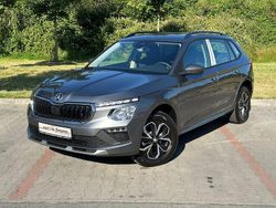 Grau Neu 2025 Skoda 105 Limousine | 25.070 €