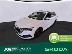 Moonweiss Gebraucht 2022 Skoda Octavia Clever Kombi | 26.800 € (Fairer Preis)