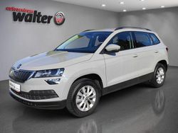 Grau Gebraucht 2020 Skoda Karoq Active SUV | 17.490 € (Fairer Preis)